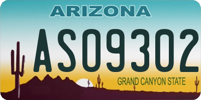 AZ license plate ASO9302