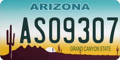 AZ license plate ASO9307