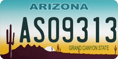 AZ license plate ASO9313