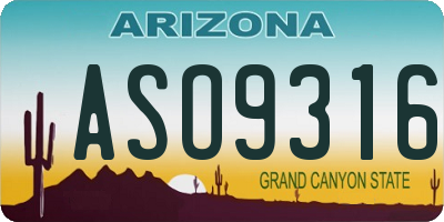 AZ license plate ASO9316