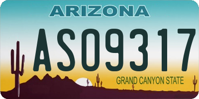 AZ license plate ASO9317