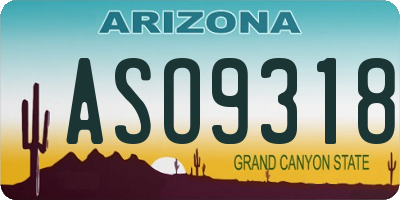 AZ license plate ASO9318
