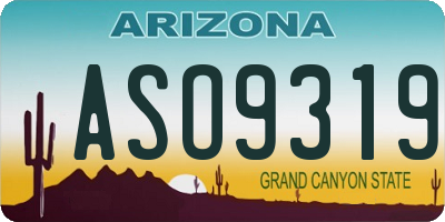 AZ license plate ASO9319
