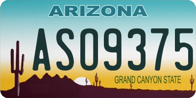 AZ license plate ASO9375