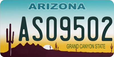 AZ license plate ASO9502