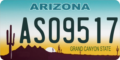 AZ license plate ASO9517