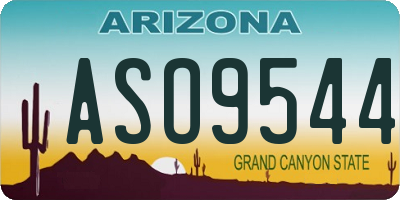 AZ license plate ASO9544