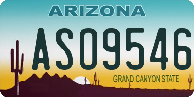 AZ license plate ASO9546