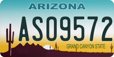AZ license plate ASO9572