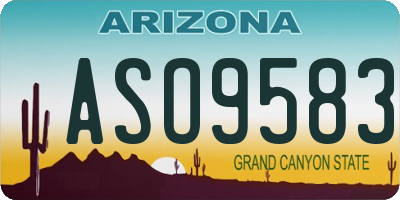 AZ license plate ASO9583