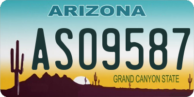 AZ license plate ASO9587