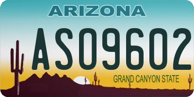 AZ license plate ASO9602