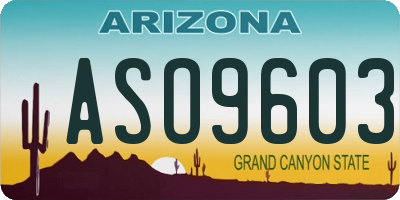 AZ license plate ASO9603