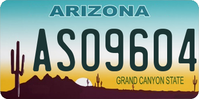 AZ license plate ASO9604