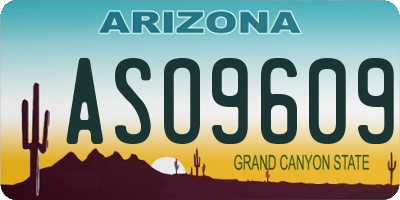 AZ license plate ASO9609