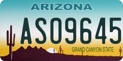 AZ license plate ASO9645