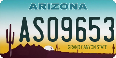 AZ license plate ASO9653