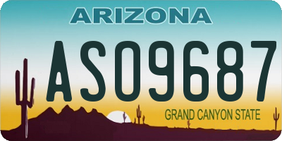 AZ license plate ASO9687