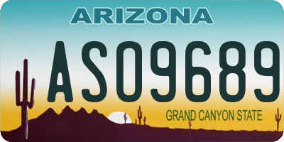 AZ license plate ASO9689