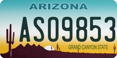 AZ license plate ASO9853