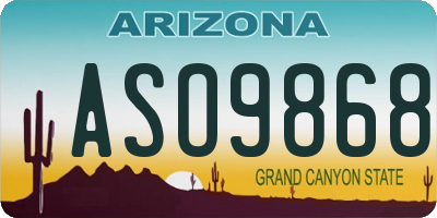 AZ license plate ASO9868