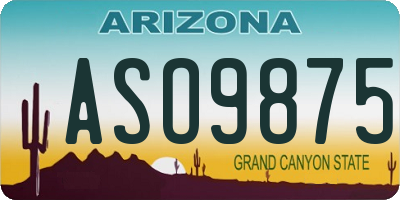 AZ license plate ASO9875