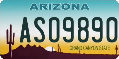 AZ license plate ASO9890
