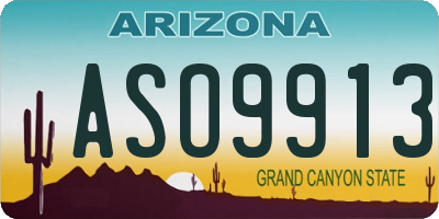 AZ license plate ASO9913