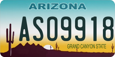 AZ license plate ASO9918