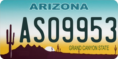 AZ license plate ASO9953
