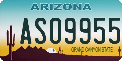 AZ license plate ASO9955