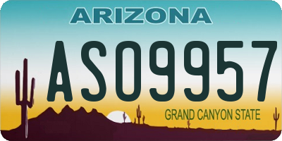 AZ license plate ASO9957