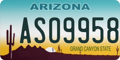 AZ license plate ASO9958