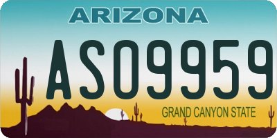 AZ license plate ASO9959