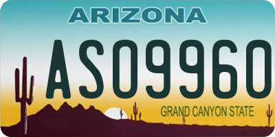 AZ license plate ASO9960