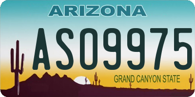 AZ license plate ASO9975