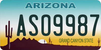 AZ license plate ASO9987