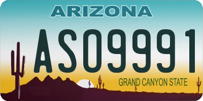 AZ license plate ASO9991
