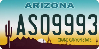 AZ license plate ASO9993