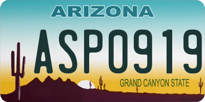 AZ license plate ASP0919