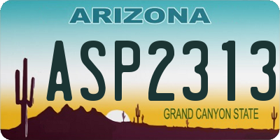 AZ license plate ASP2313