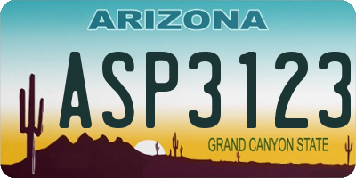 AZ license plate ASP3123