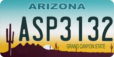 AZ license plate ASP3132