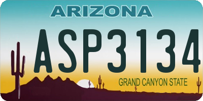 AZ license plate ASP3134