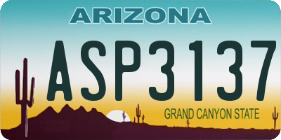 AZ license plate ASP3137