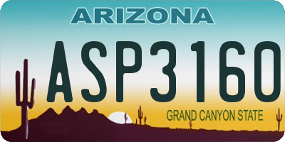 AZ license plate ASP3160
