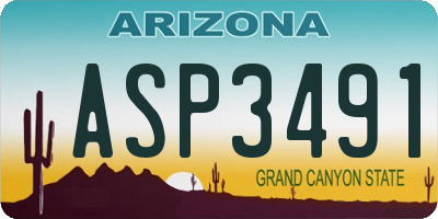 AZ license plate ASP3491