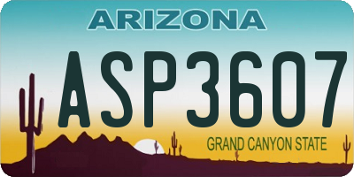 AZ license plate ASP3607