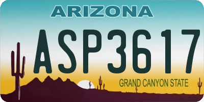 AZ license plate ASP3617