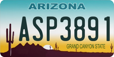 AZ license plate ASP3891